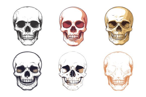The Human Skulls Set: A Versatile Digital Asset